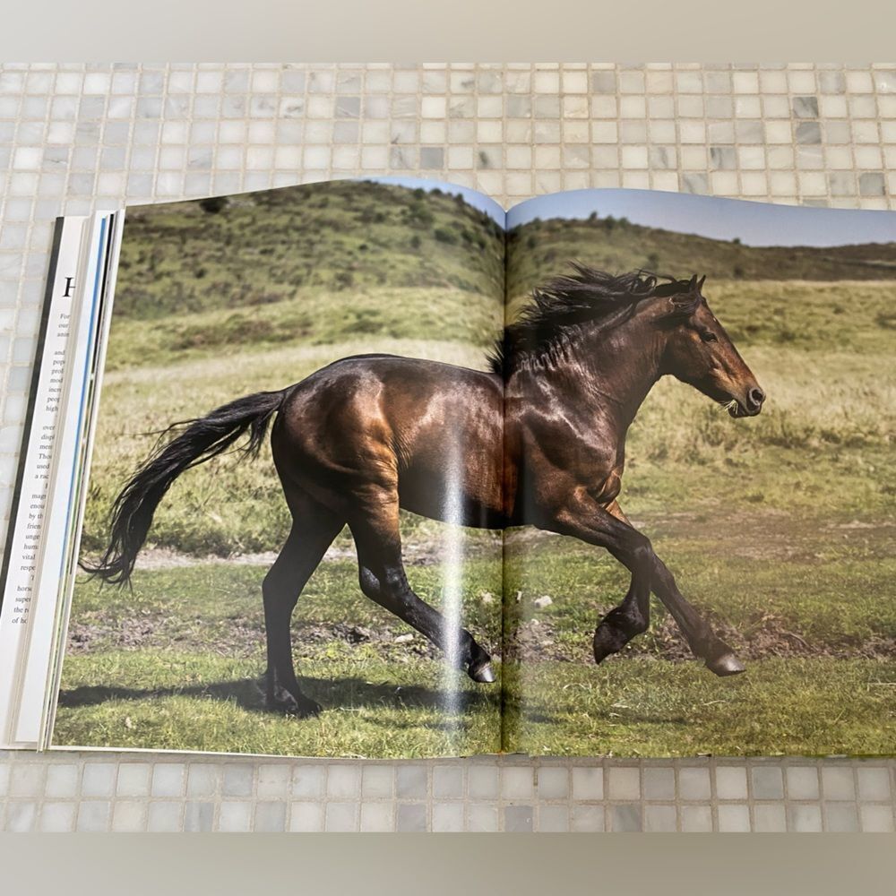 Beautiful Enchanting Horse Full Color Book 450 pages - Picture 8 of 10